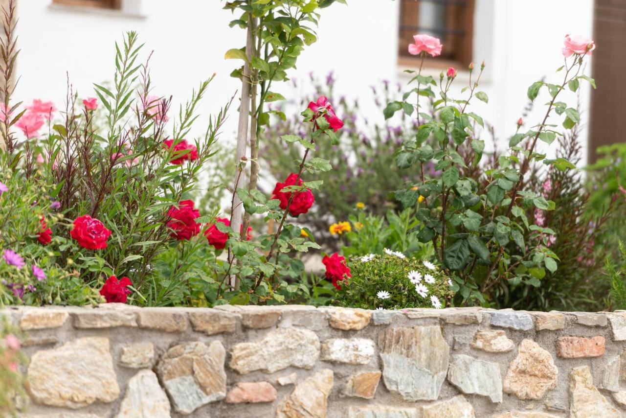Ferienwohnung Garden House Psarogiannis Vourvourou Exterior foto